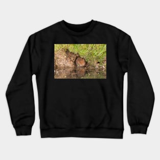 Snacking Crewneck Sweatshirt